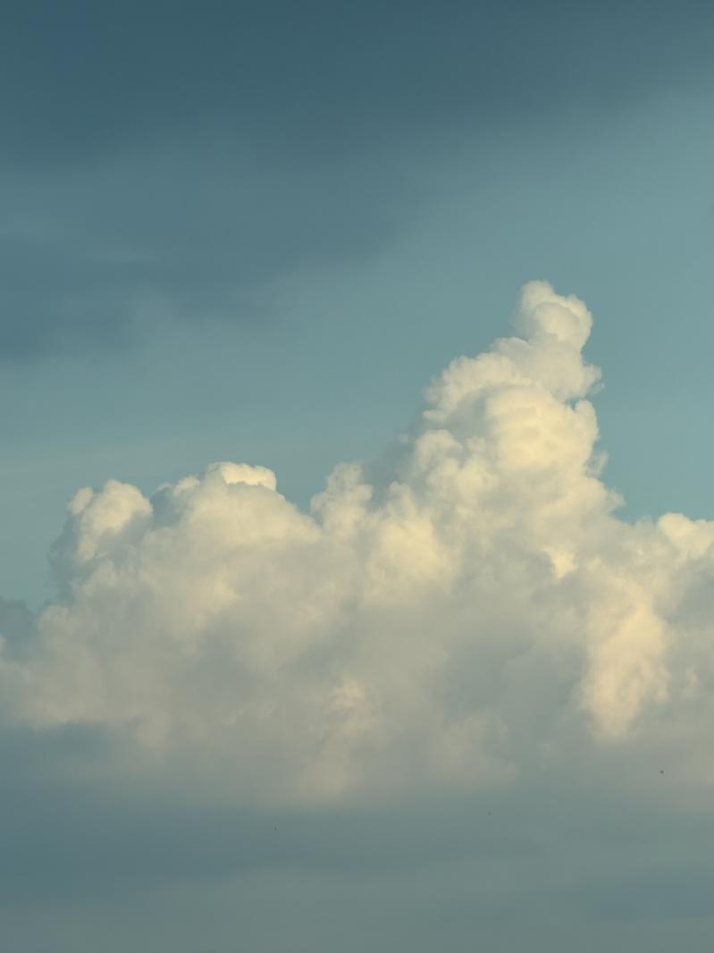 [FANS] ☁️