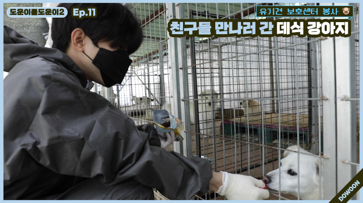 thumbnail [Helping Dowoon2] Ep. 11 DAY6 Puppy Went To Go See His Friends
